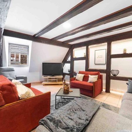 Les Lionceaux, 120M2 A Colmar, Place De Parking Gratuite Extérieur photo