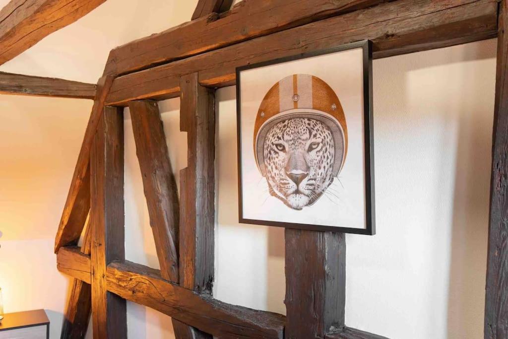 Les Lionceaux, 120M2 A Colmar, Place De Parking Gratuite Extérieur photo