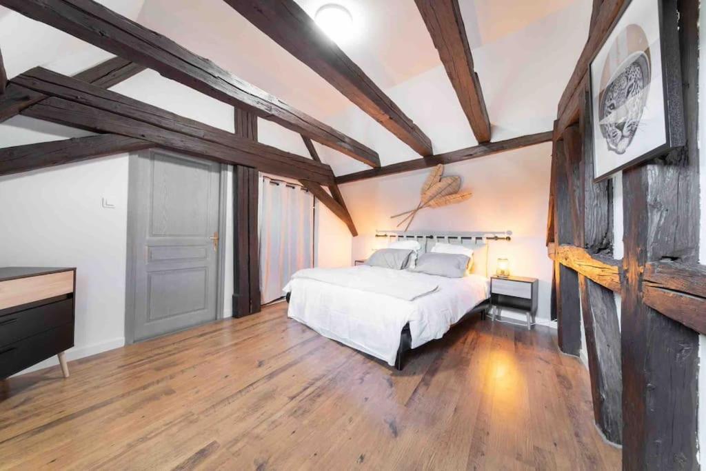 Les Lionceaux, 120M2 A Colmar, Place De Parking Gratuite Extérieur photo
