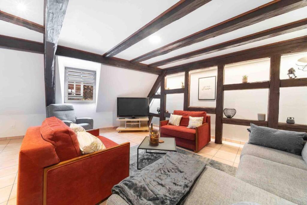Les Lionceaux, 120M2 A Colmar, Place De Parking Gratuite Extérieur photo