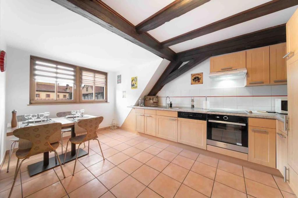 Les Lionceaux, 120M2 A Colmar, Place De Parking Gratuite Extérieur photo