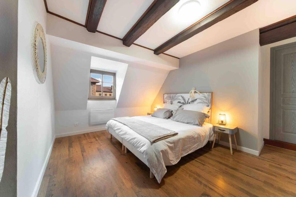 Les Lionceaux, 120M2 A Colmar, Place De Parking Gratuite Extérieur photo
