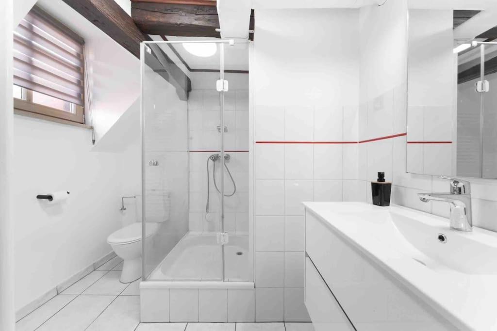 Les Lionceaux, 120M2 A Colmar, Place De Parking Gratuite Extérieur photo